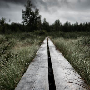 07-führende linien, planken, Sarek, Weg.jpg